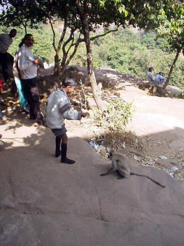 Monkeys at Khandagiri caves