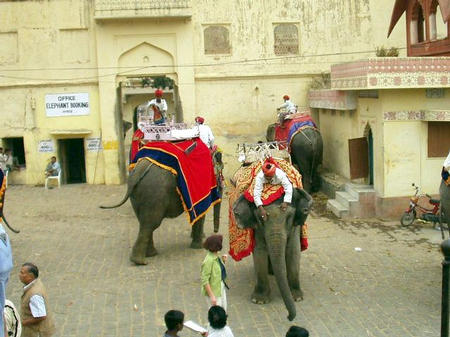 Elephantentransport ins Fort
