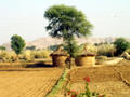 Rajasthan Landschaft