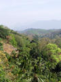 mountain area in Kerala