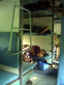 The sleeper class carriages